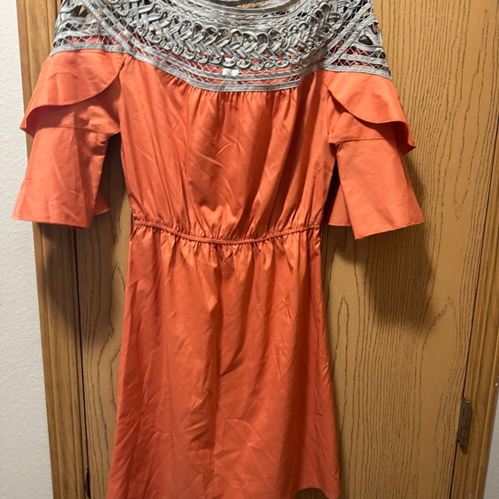 Esley dress with ruffled sleeves size small